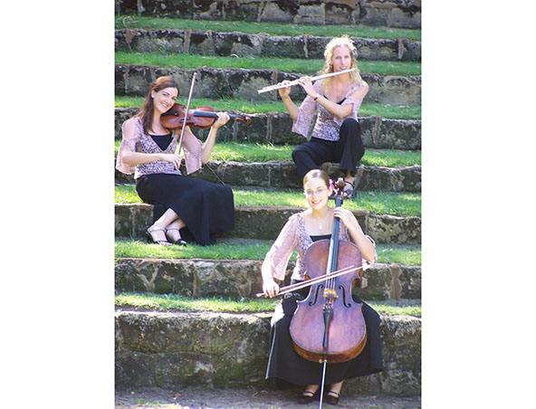 String Quartet Perth - Wonderful With Wine - Musicians